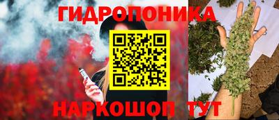 ГАЛЛЮЦИНОГЕННЫЕ ГРИБЫ Будённовск