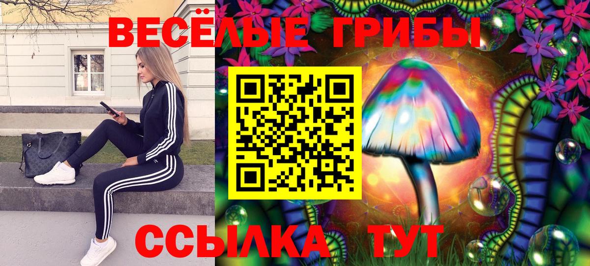 Галлюциногенные грибы прущие грибы Сочи