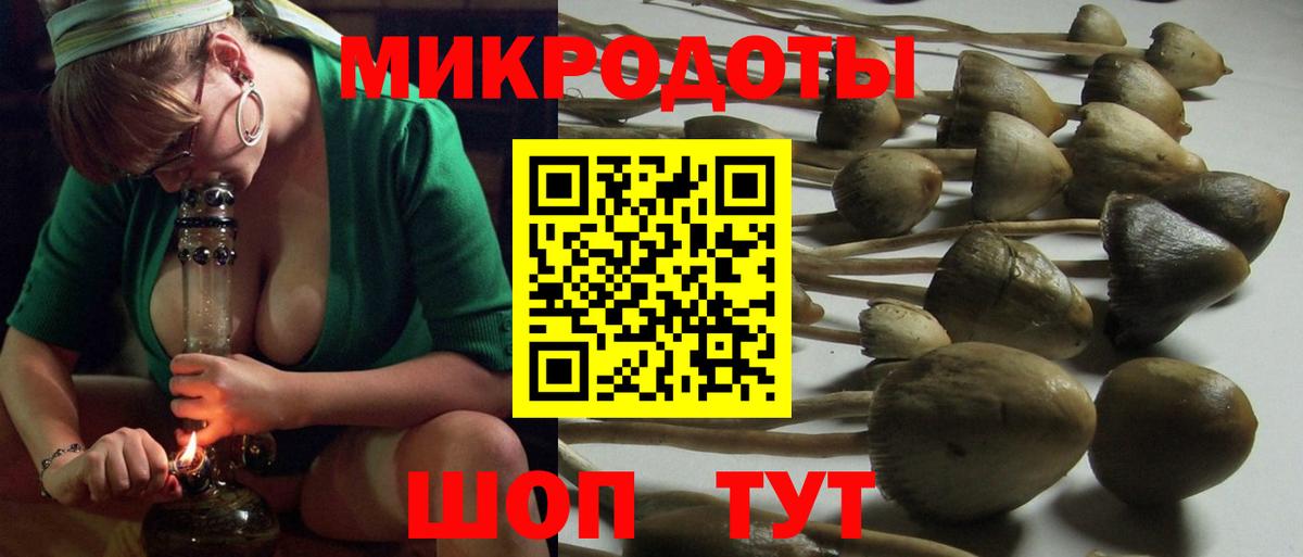Псилоцибиновые грибы Psilocybe  Вход с VPN  Сочи 